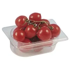 Cuva gastronorm polipropilena, GN1/3, h=100 mm