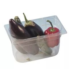 Cuva gastronorm polipropilena, GN1/1, h=100 mm