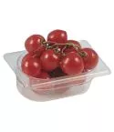 Cuva gastronorm polipropilena, GN1/3, h=100 mm