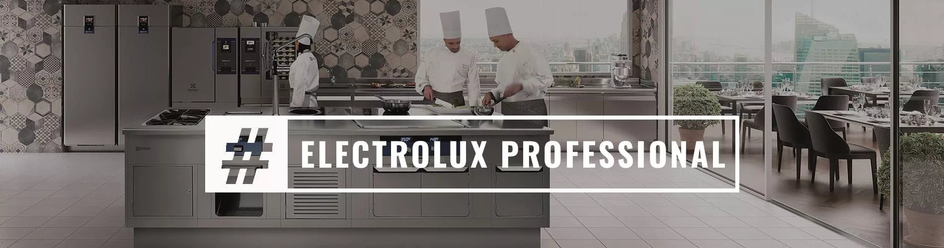 promotii-electrolux-profesional