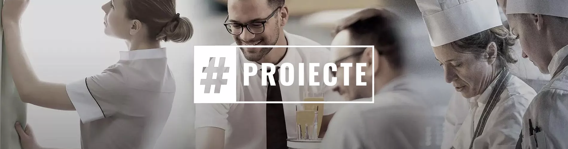 proiecte-realizate-horeca-retail-fresco-expert