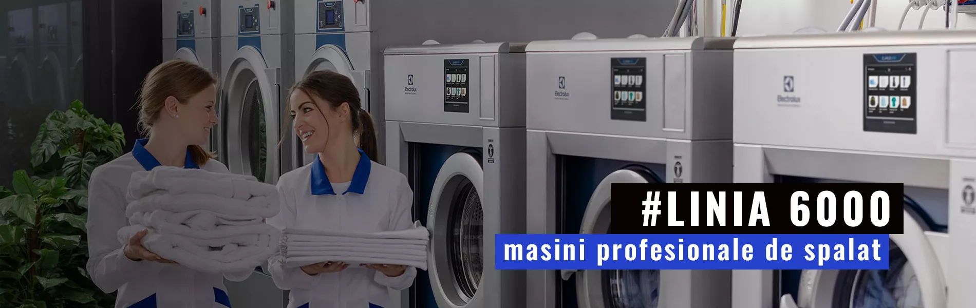 masini-profesionale-spalat-rufe