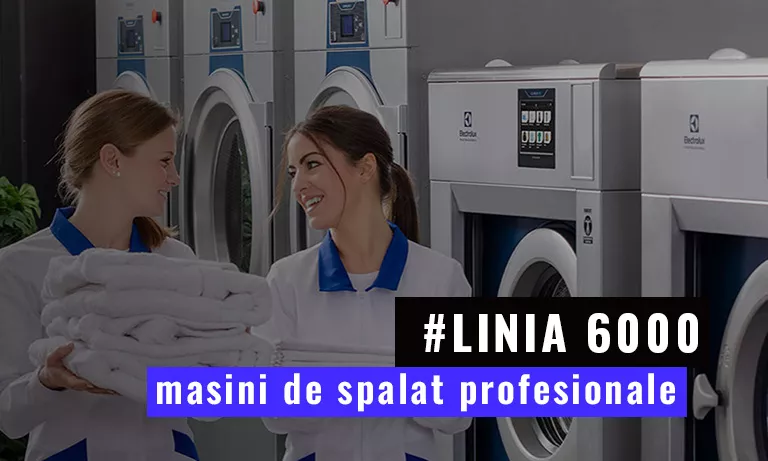 masini-profesionale-spalat-rufe